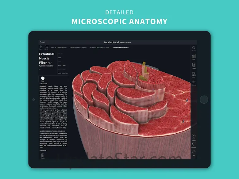 Complete Anatomy 2023 9.7.0