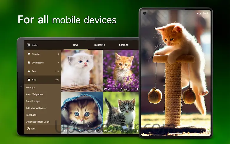 Kitten Wallpapers 4K 5.7.4
