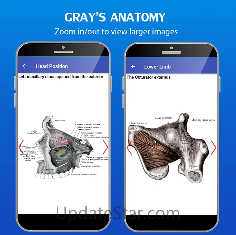 Gray's Anatomy - Anatomy Atlas 5.8