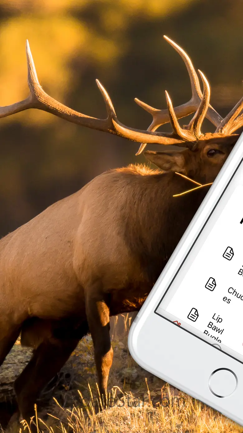 ElkNut 3.2.1