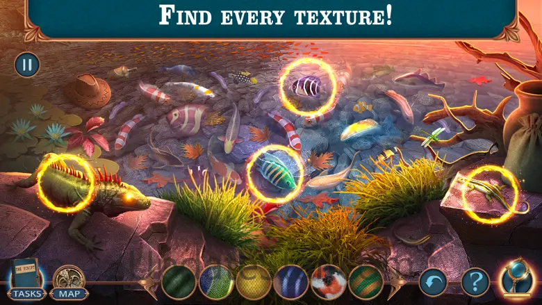 Hidden Motives 1 – F2P 1.1.2