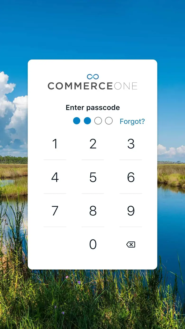 CommerceOne Bank 3.13.1