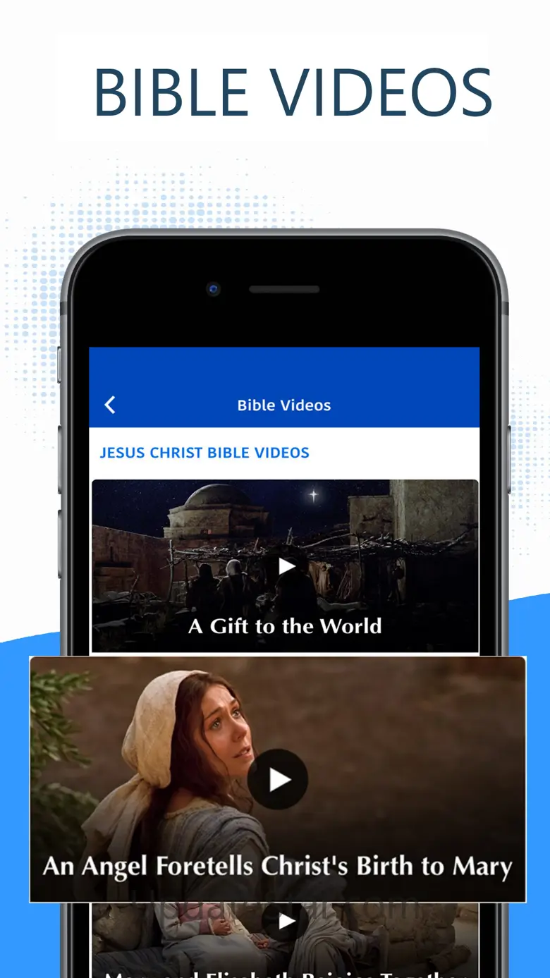 New American Bible (NAB) 3.1