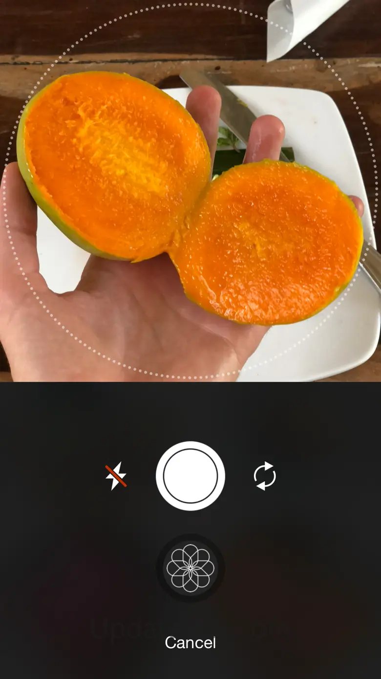 MealCam 2.1