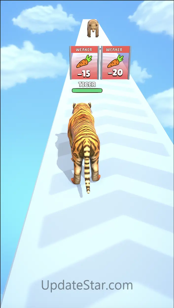 Cat Evolution 63