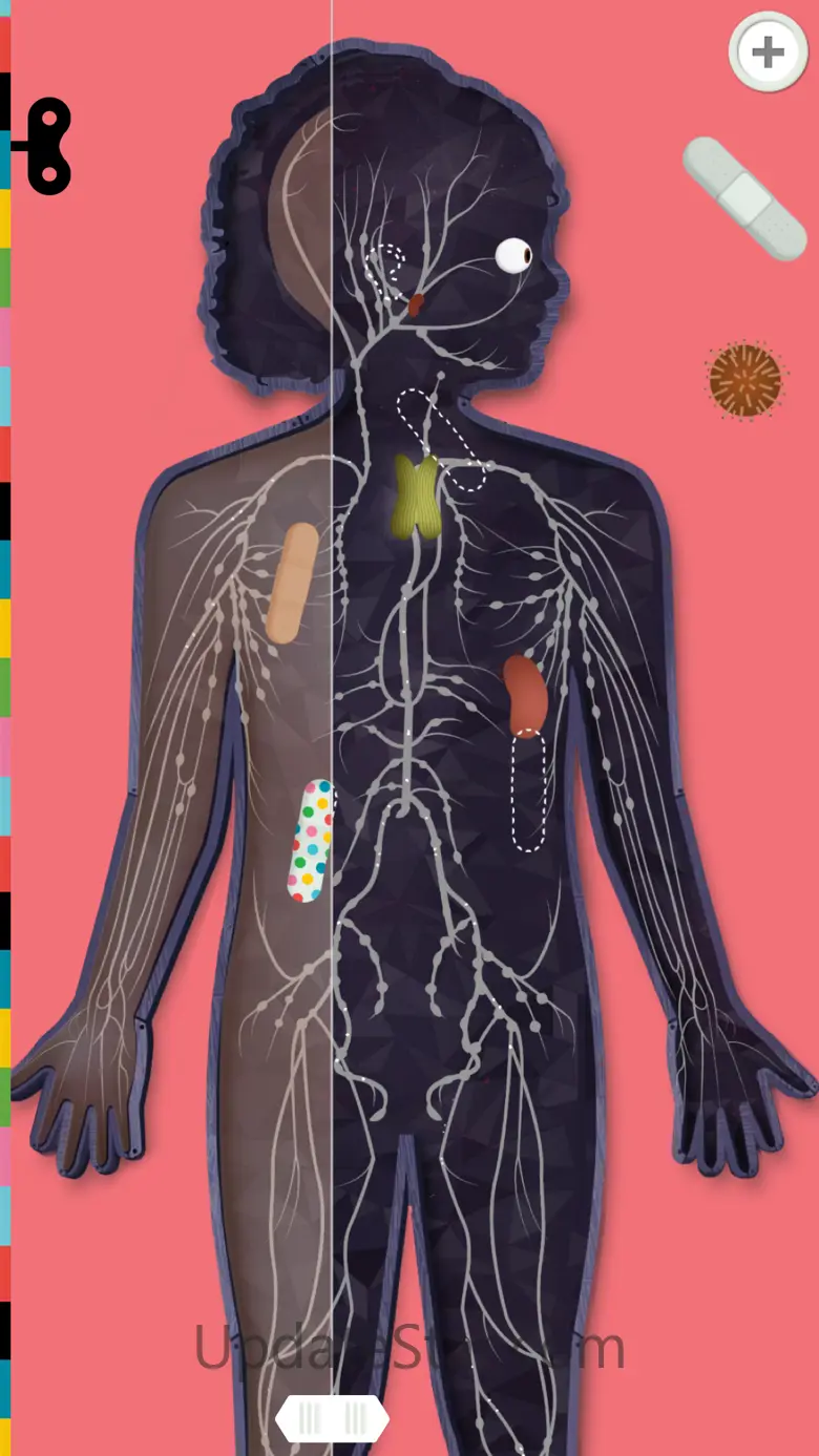The Human Body Lite 3.5.0