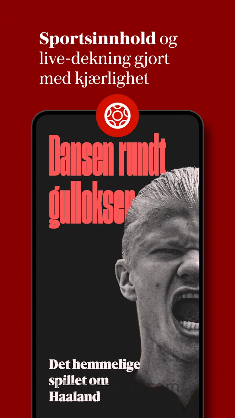 VG 3.134