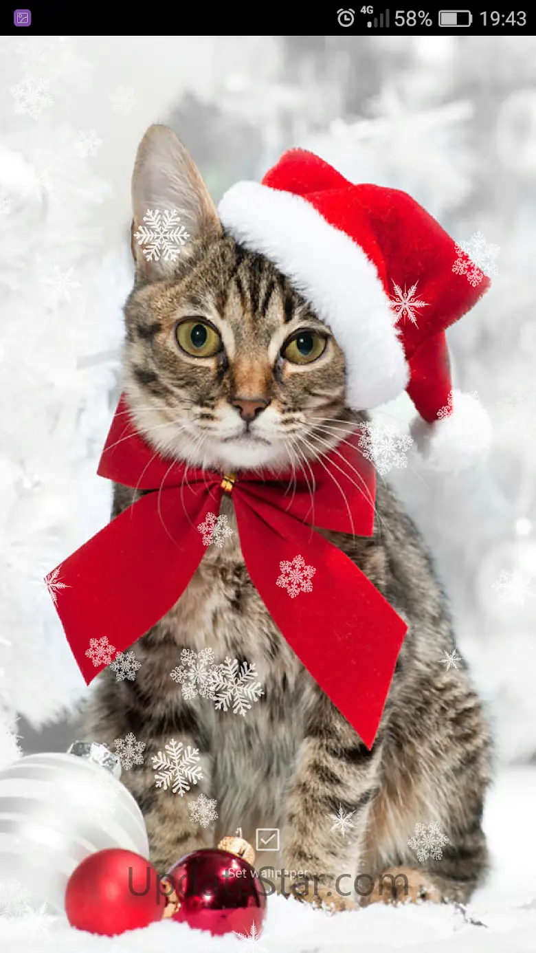 Xmas Ringtones & Wallpapers 1.4