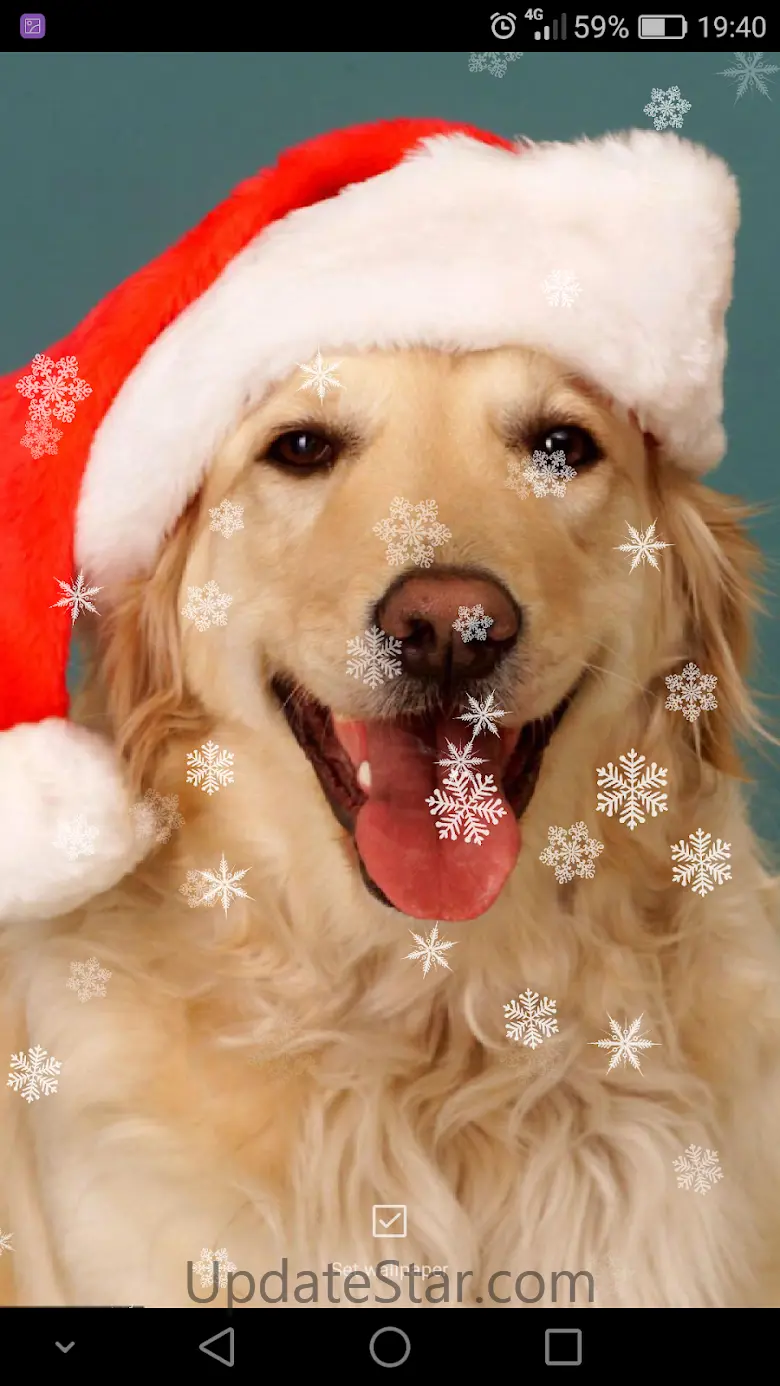 Xmas Ringtones & Wallpapers 1.4