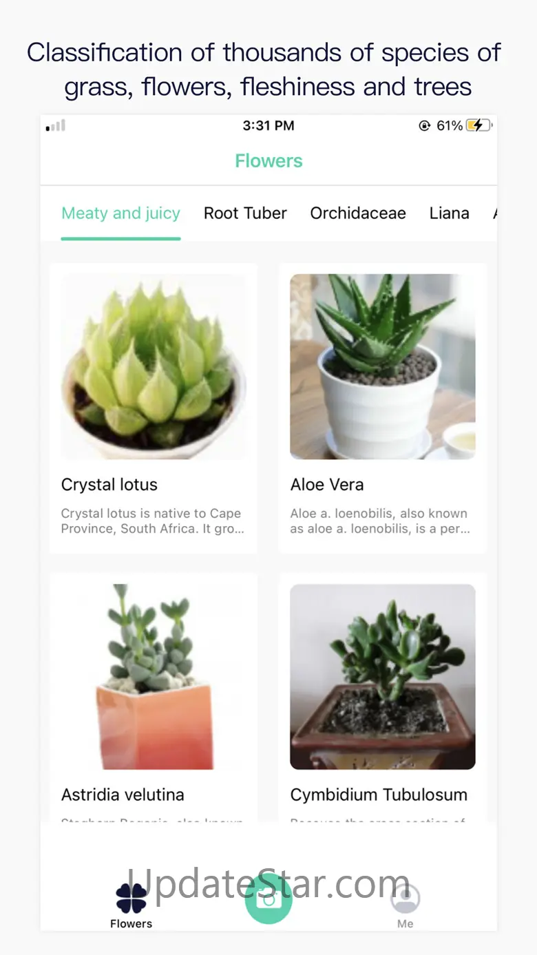 Photo Plant Identification 1.4
