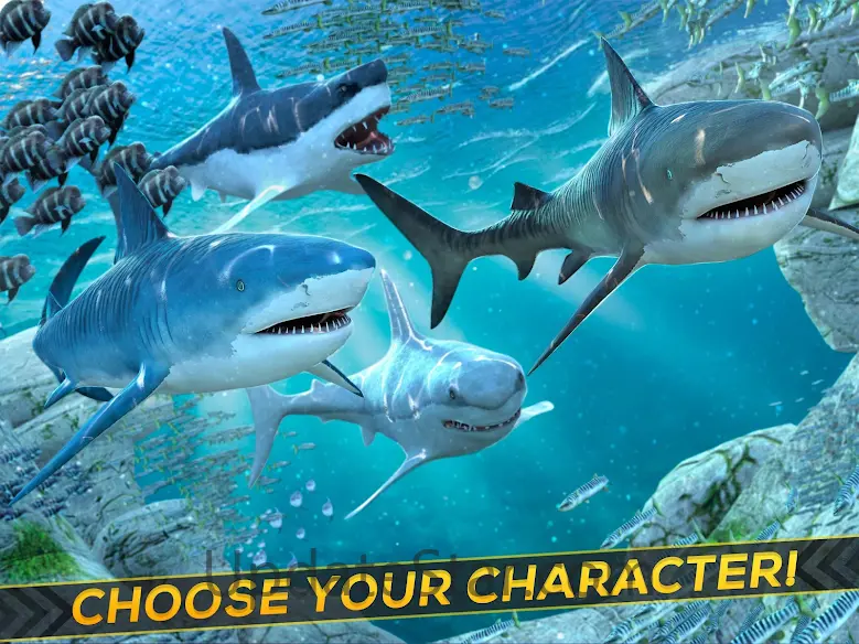 Shark & Crocodile Fight: Run 1.6.0