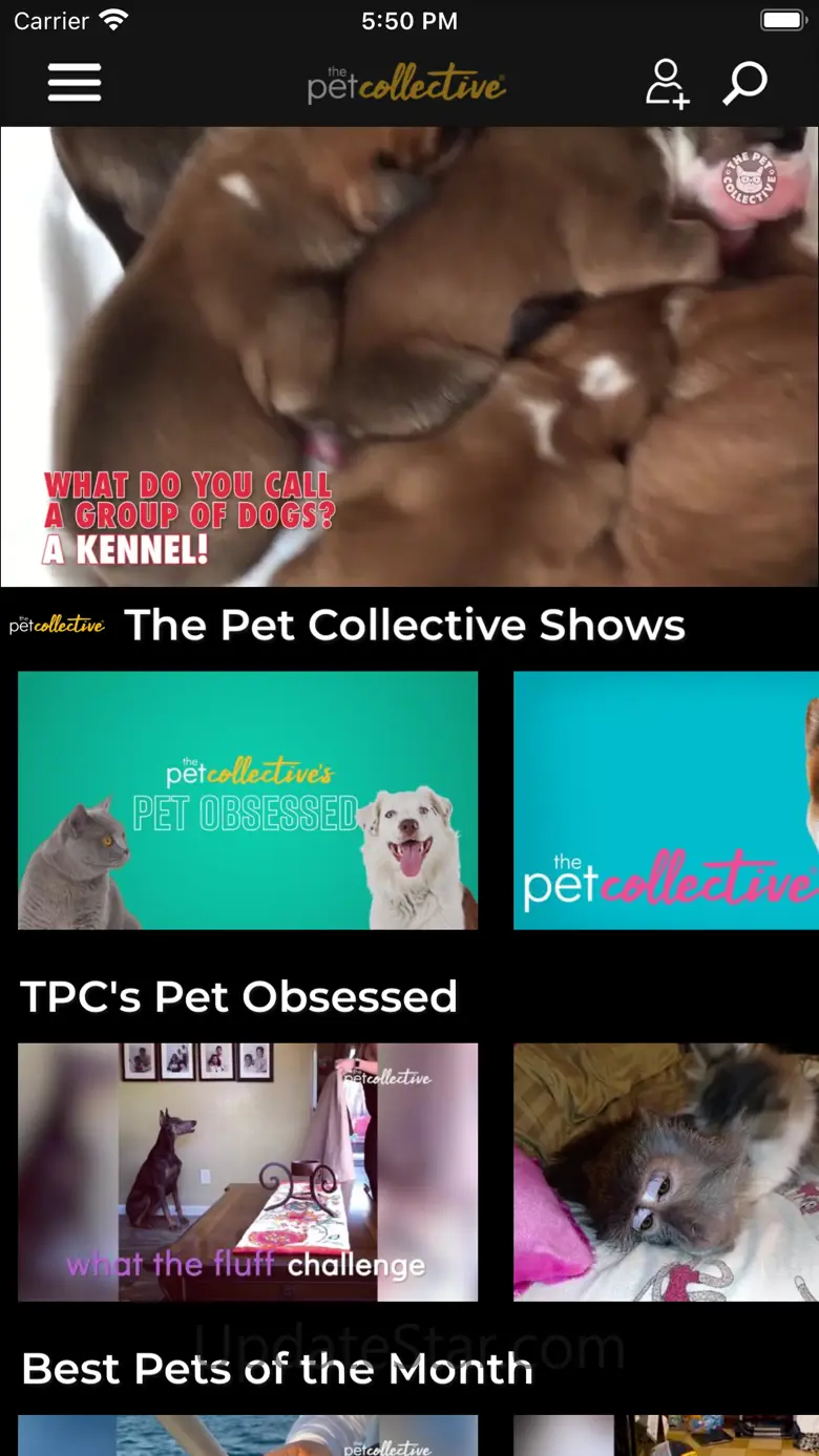 The Pet Collective 15.100
