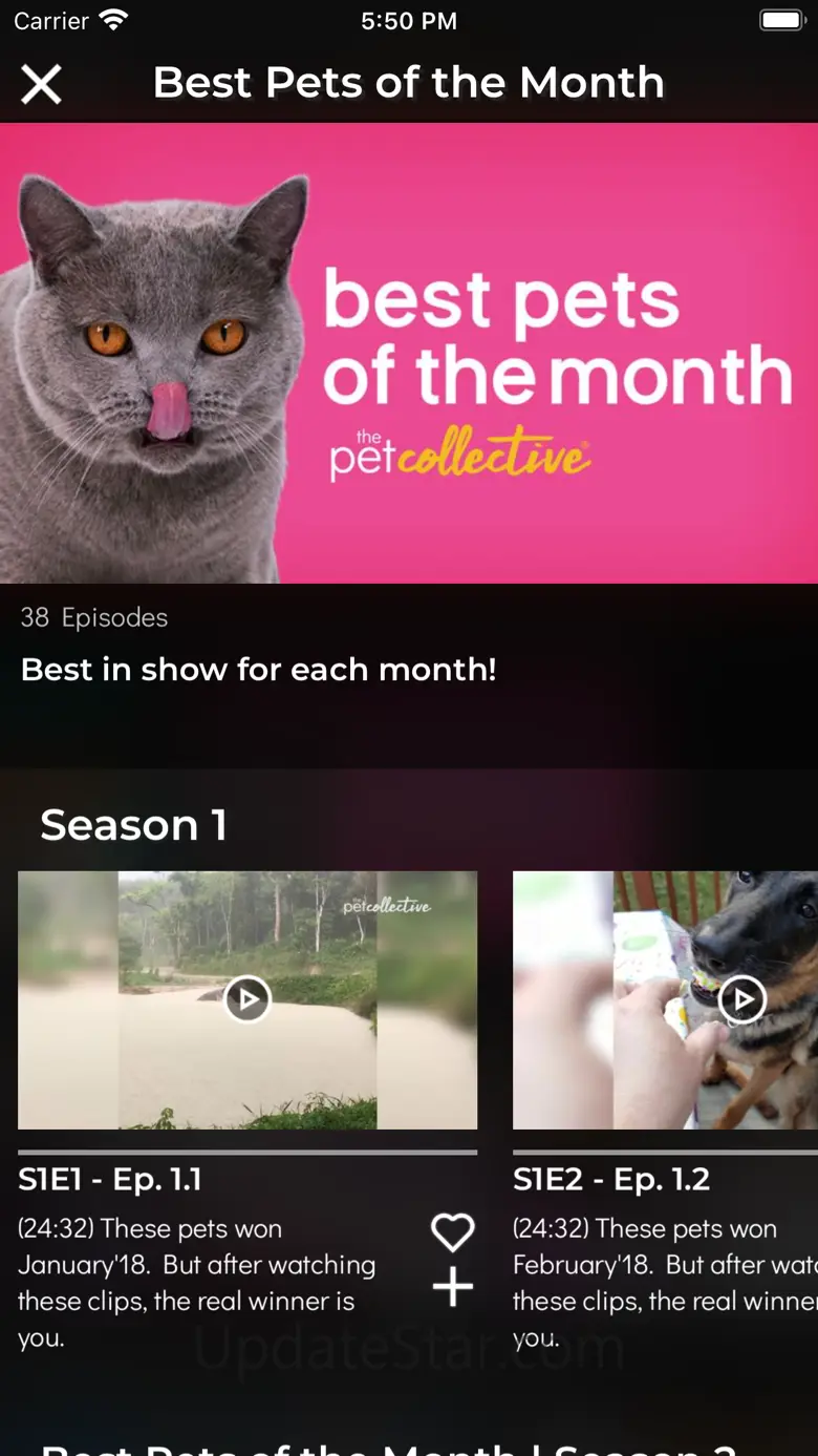 The Pet Collective 15.100