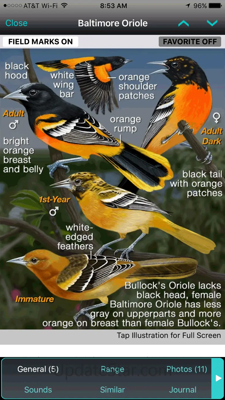 iBird Yard+ Guide to Birds 10.06