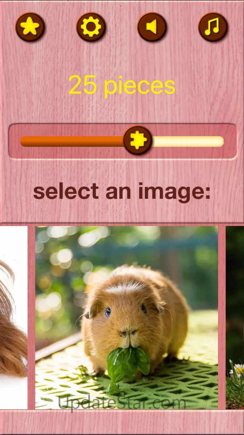 Guinea Pig Jigsaw Puzzle Games 1.1