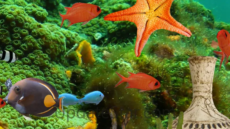 MyReef 3D Aquarium 2 HD 1.2