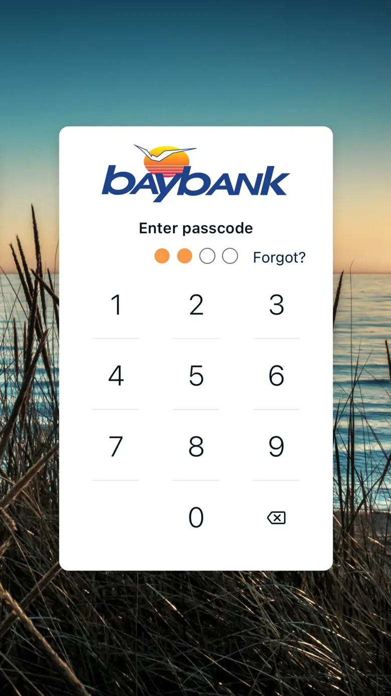 Baynet 3.13.1