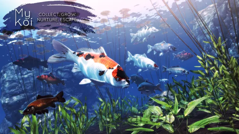 My Koi 2.4.0