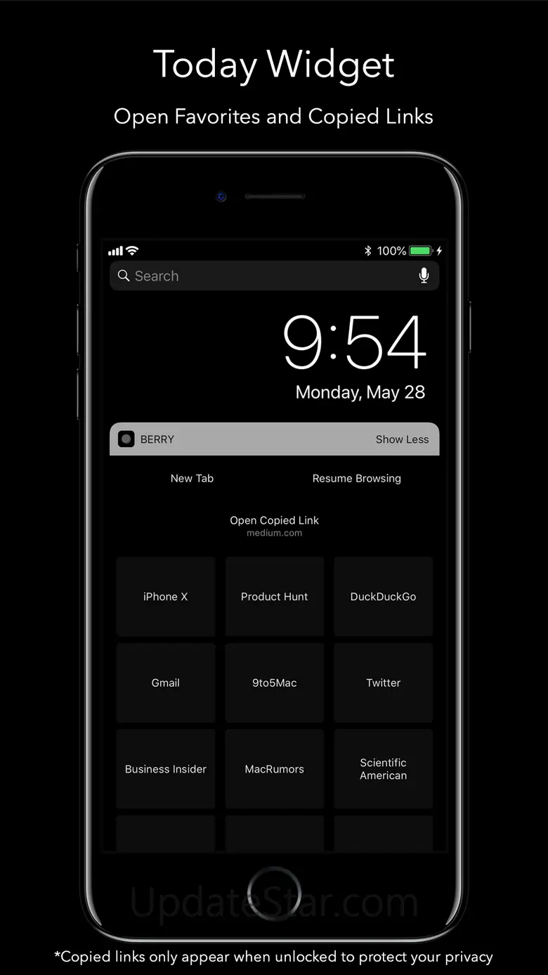 Berry Dark Browser 1.1.3