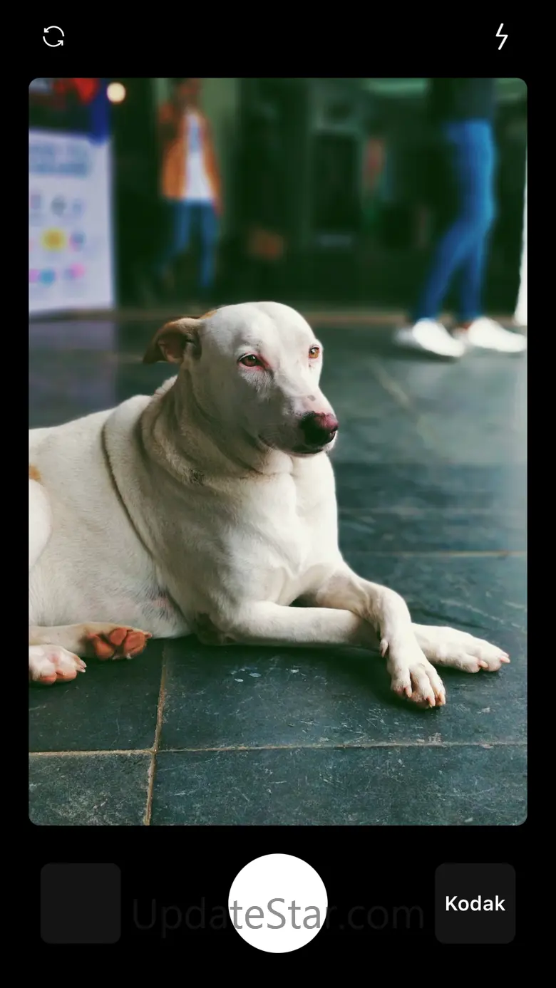 Dazz Cam - Old Film & VHS Cam 1.9