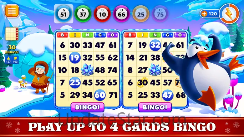 Bingo Christmas Holidays 2023 13.2.6
