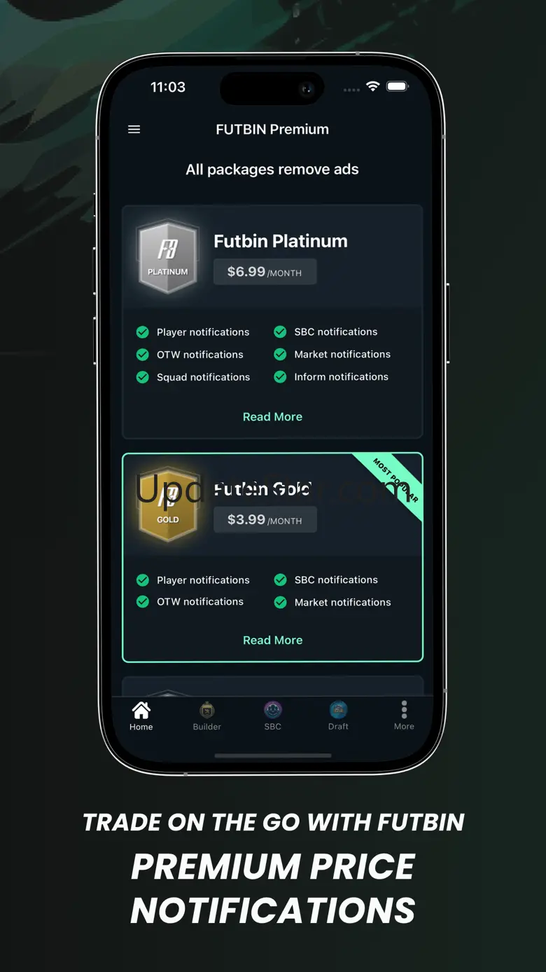 FUTBIN - FC 24 Draft, Builder 6.3.1