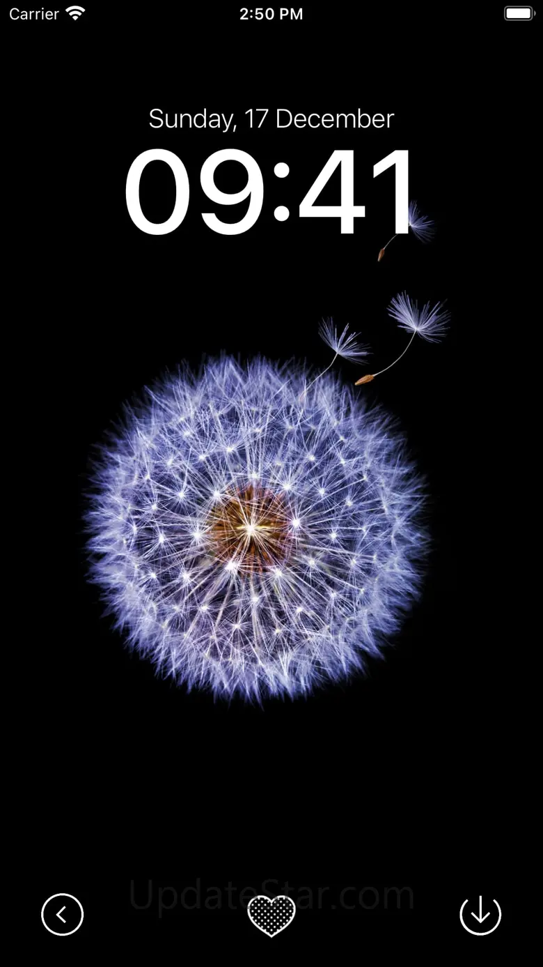 Black Wallpaper App 5.3