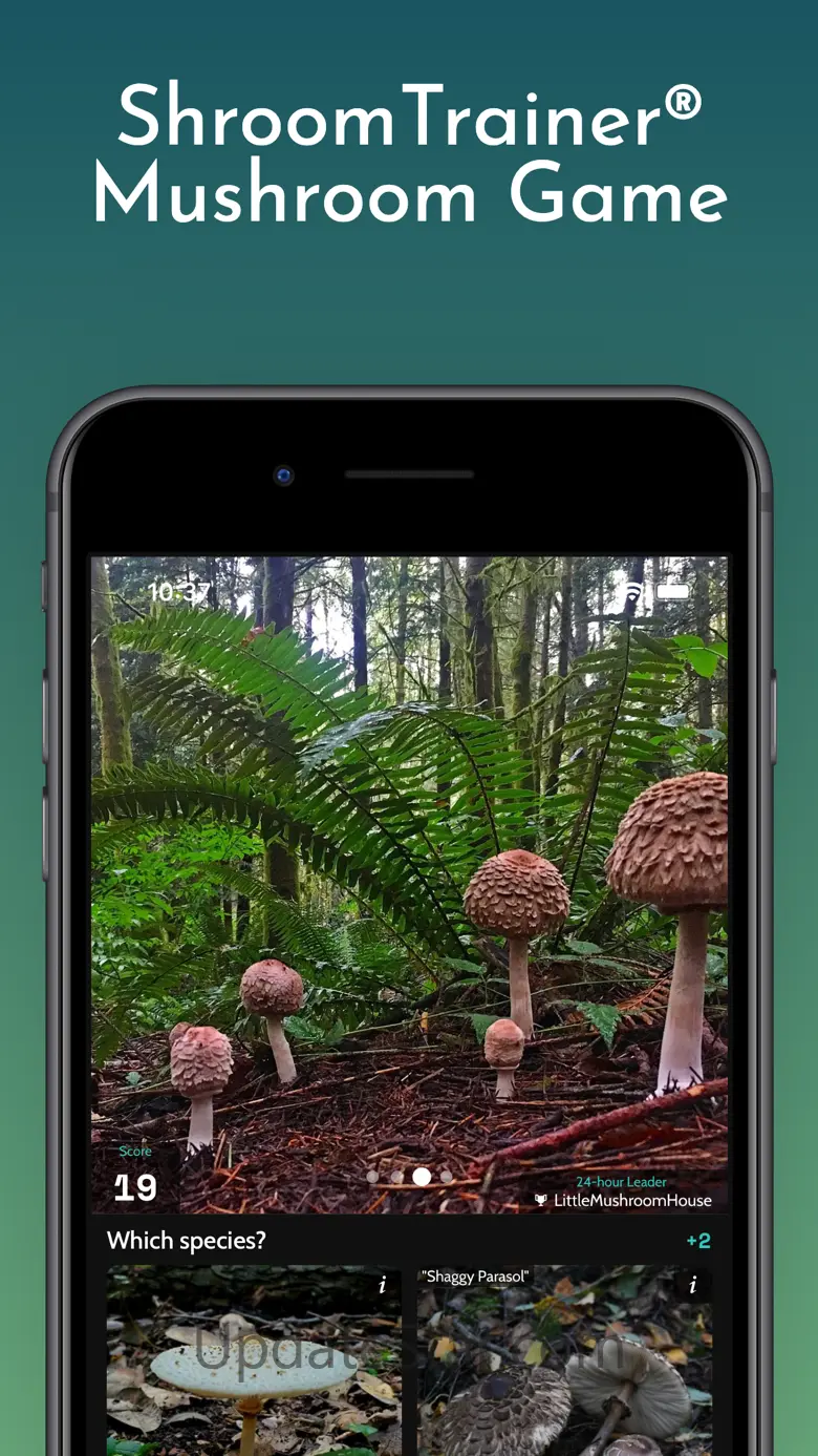 ShroomID - Identify Mushrooms 2.26.8