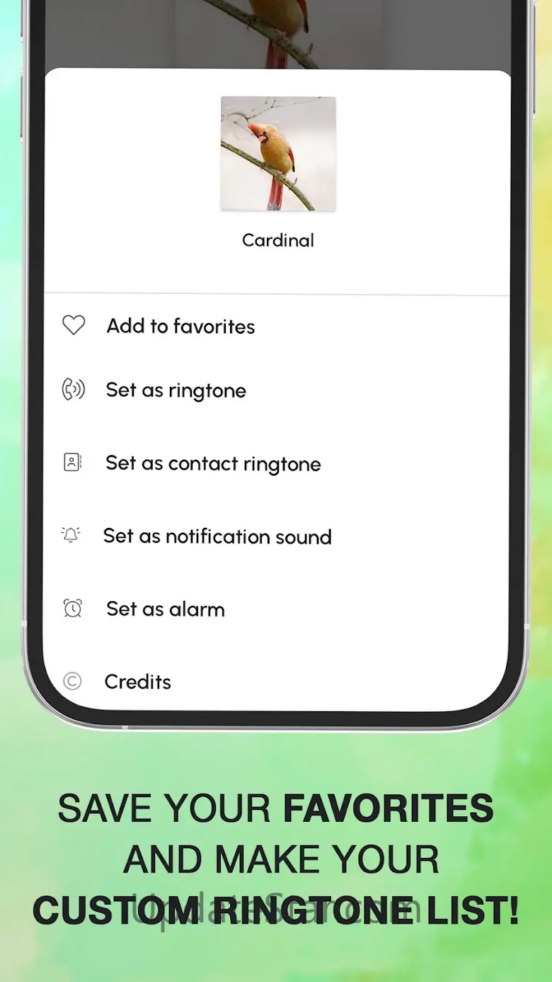 Bird Calls, Sounds & Ringtones 14.0.2