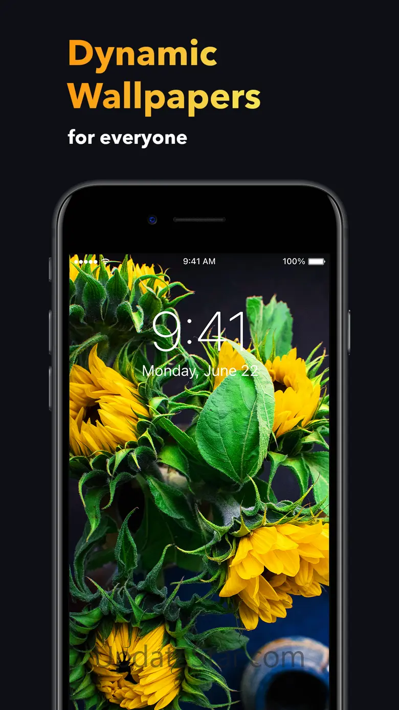 Live Wallpaper: 4k & Animated 1.0.4