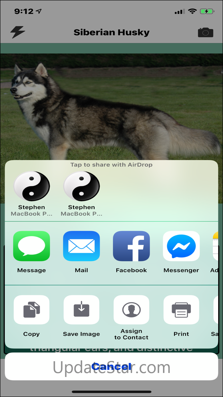Dog Breed Identifier 4