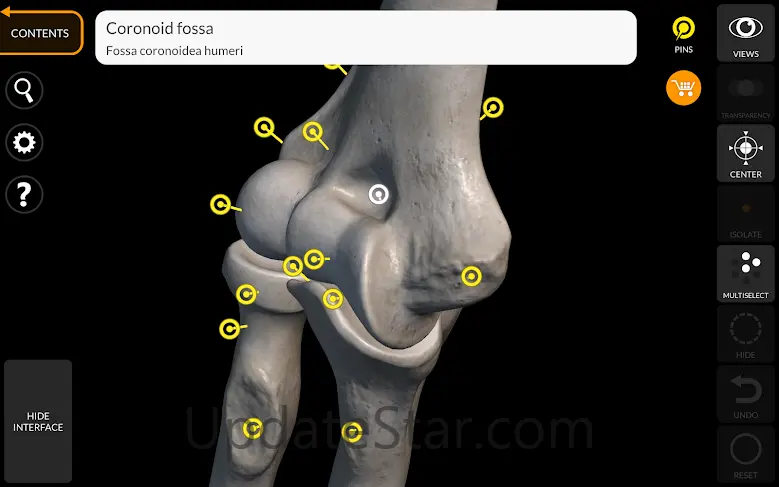 Skeleton | 3D Anatomy 6.5.0