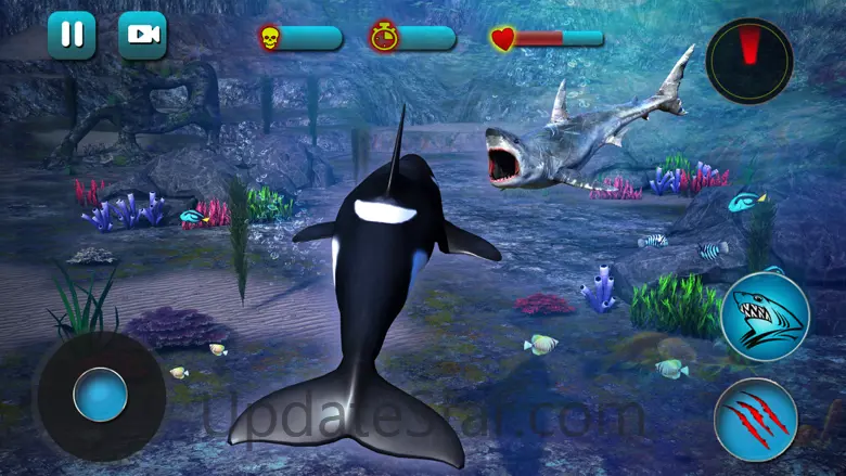 Killer Whale Beach Attack 3D 1.2