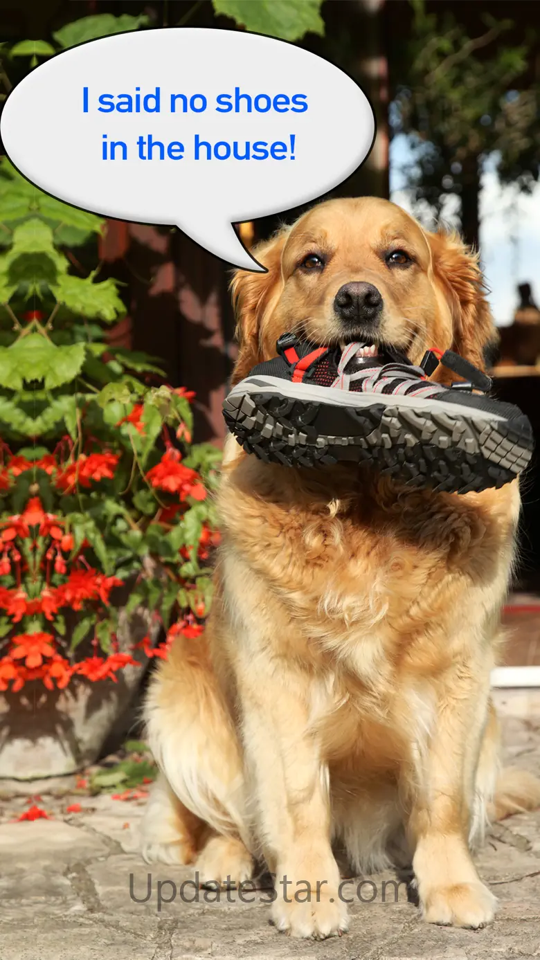 Write On Photos: Add text 2.8