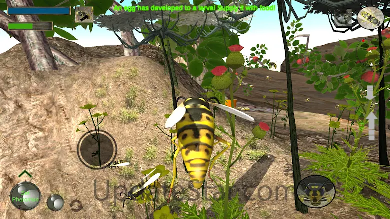 Wasp Nest Simulator 2.4.4