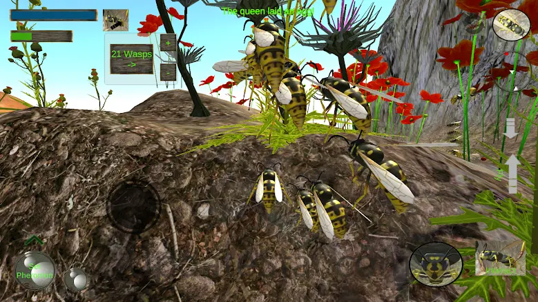 Wasp Nest Simulator 2.4.4