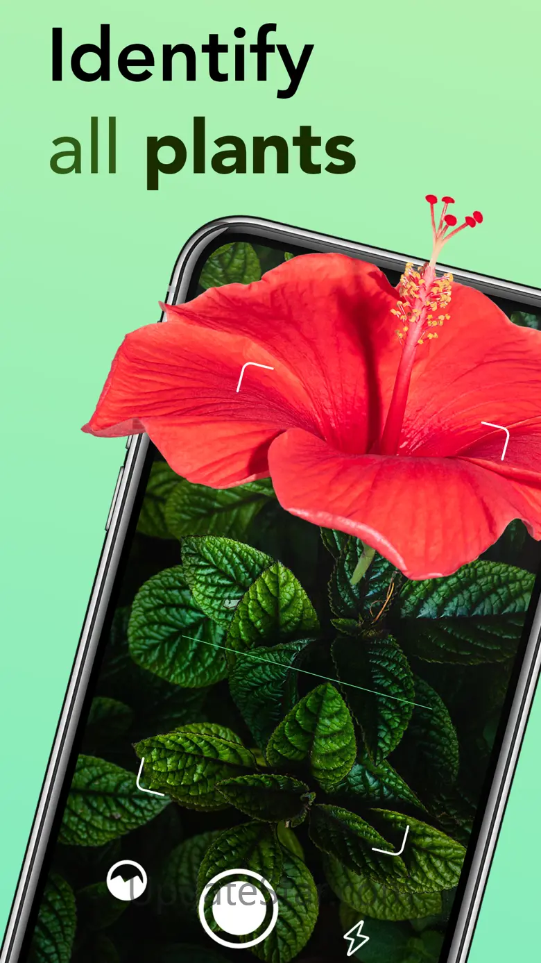 Plant identification - Plants 3.0