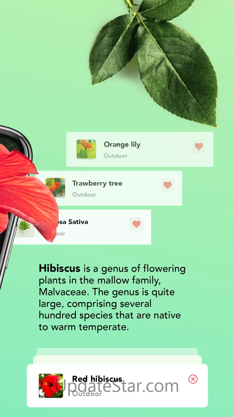 Plant identification - Plants 3.0