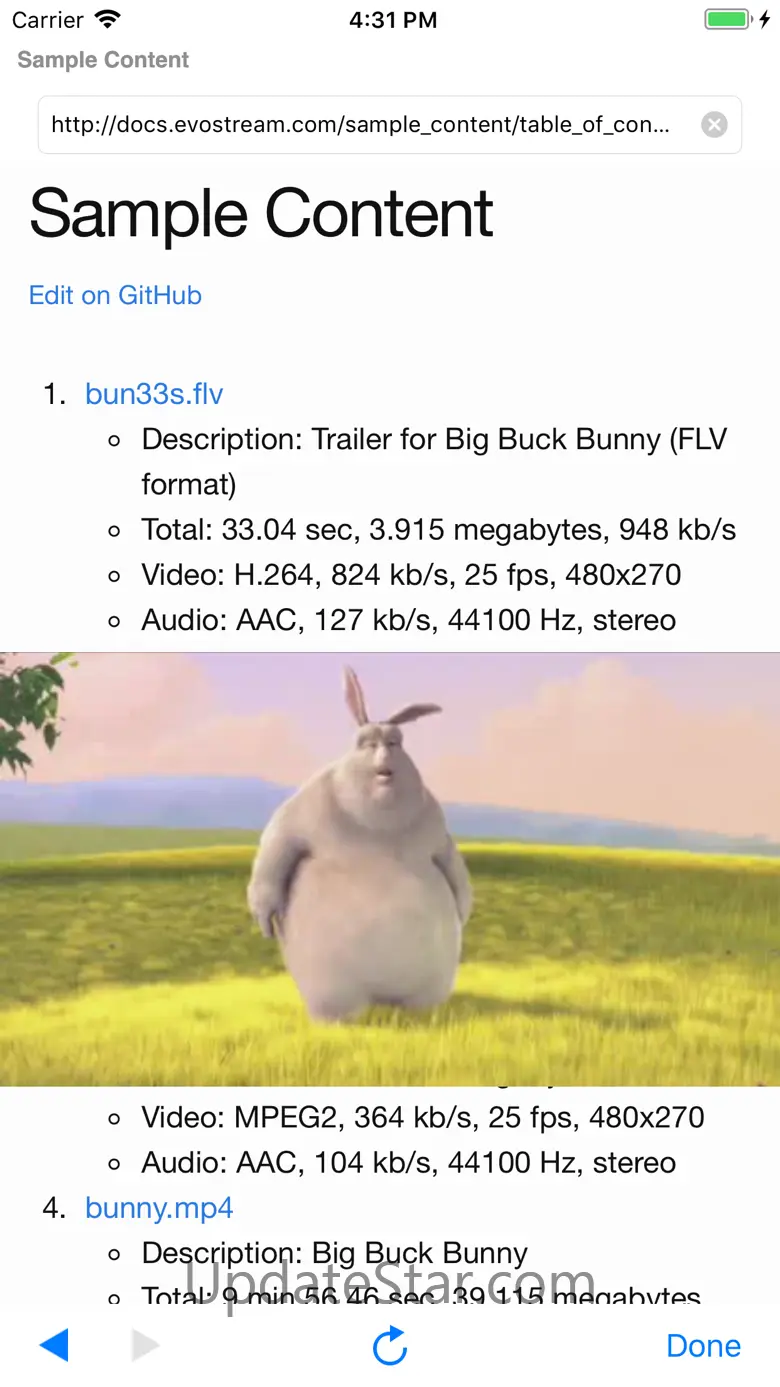 Fast Flash -Browser and Player 1.4.2