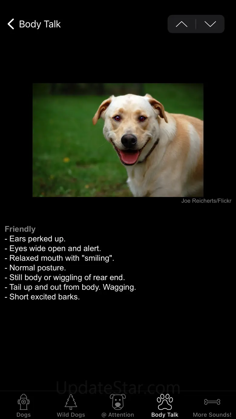 Dog Sounds & Body Talk 2.6