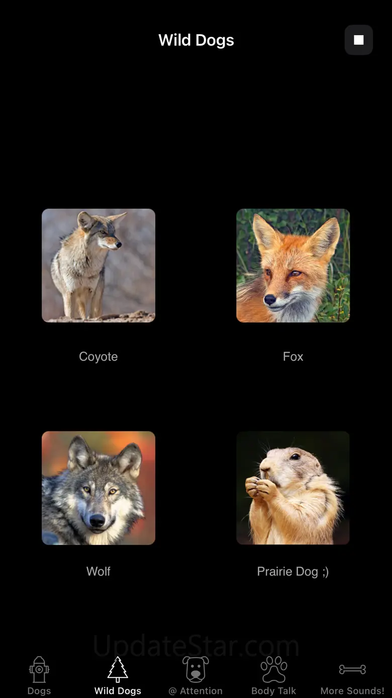 Dog Sounds & Body Talk 2.6