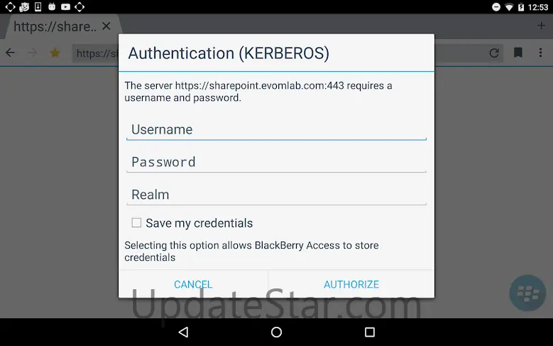 BlackBerry Access