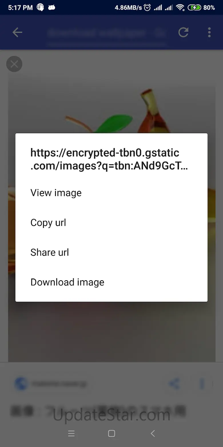 IDM - Download Manager Plus 1.7.5