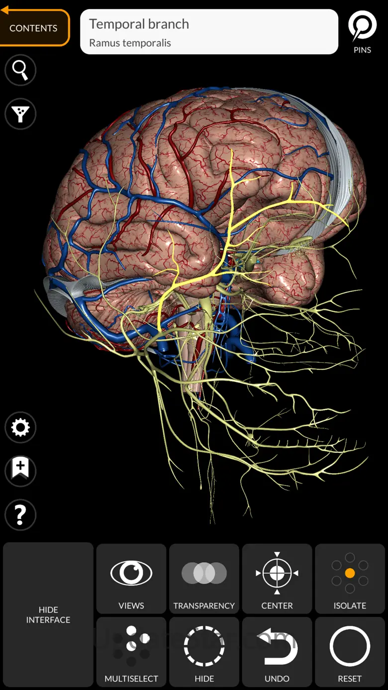 Anatomy 3D Atlas 6.6.1