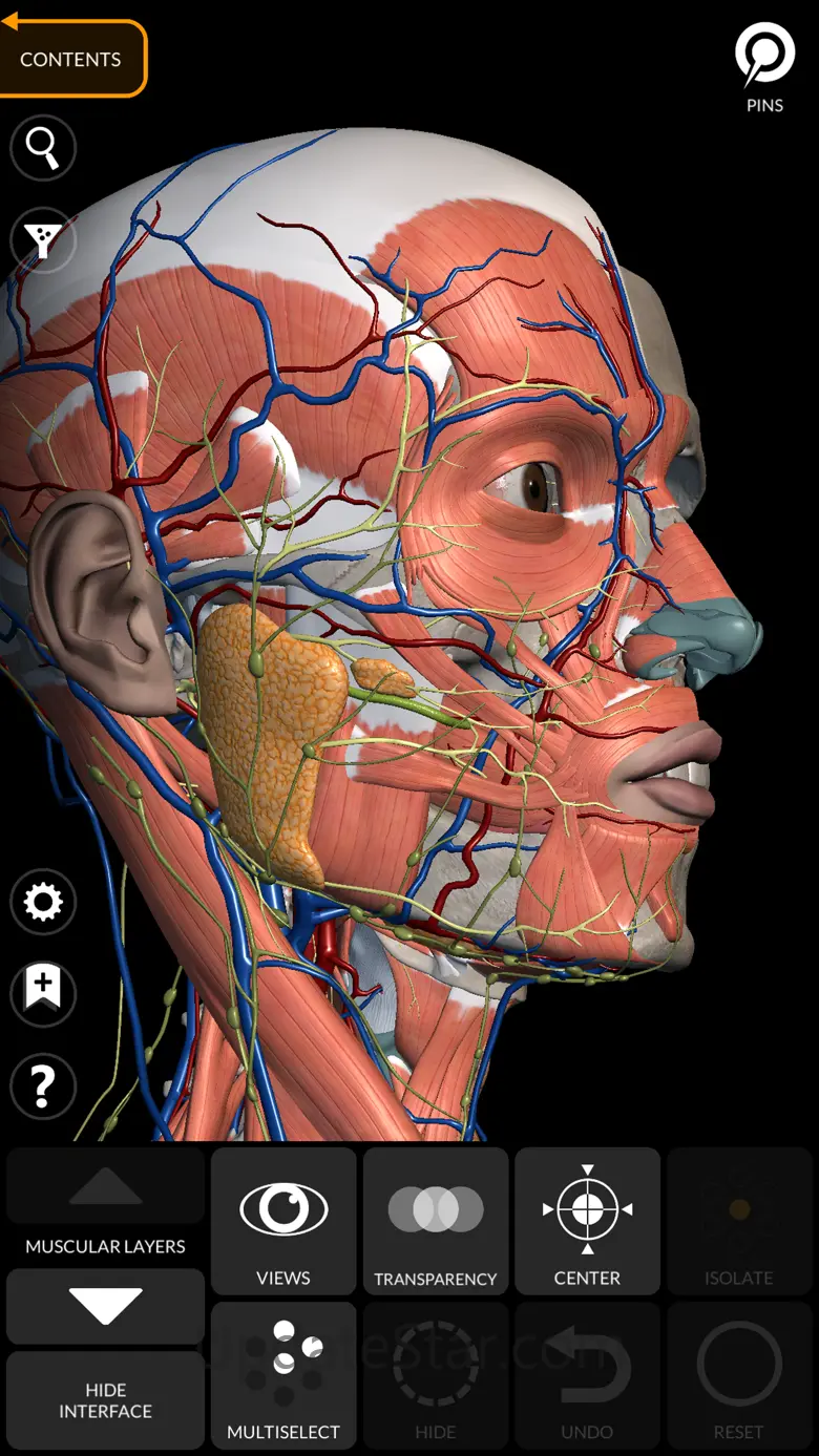 Anatomy 3D Atlas 6.6.1
