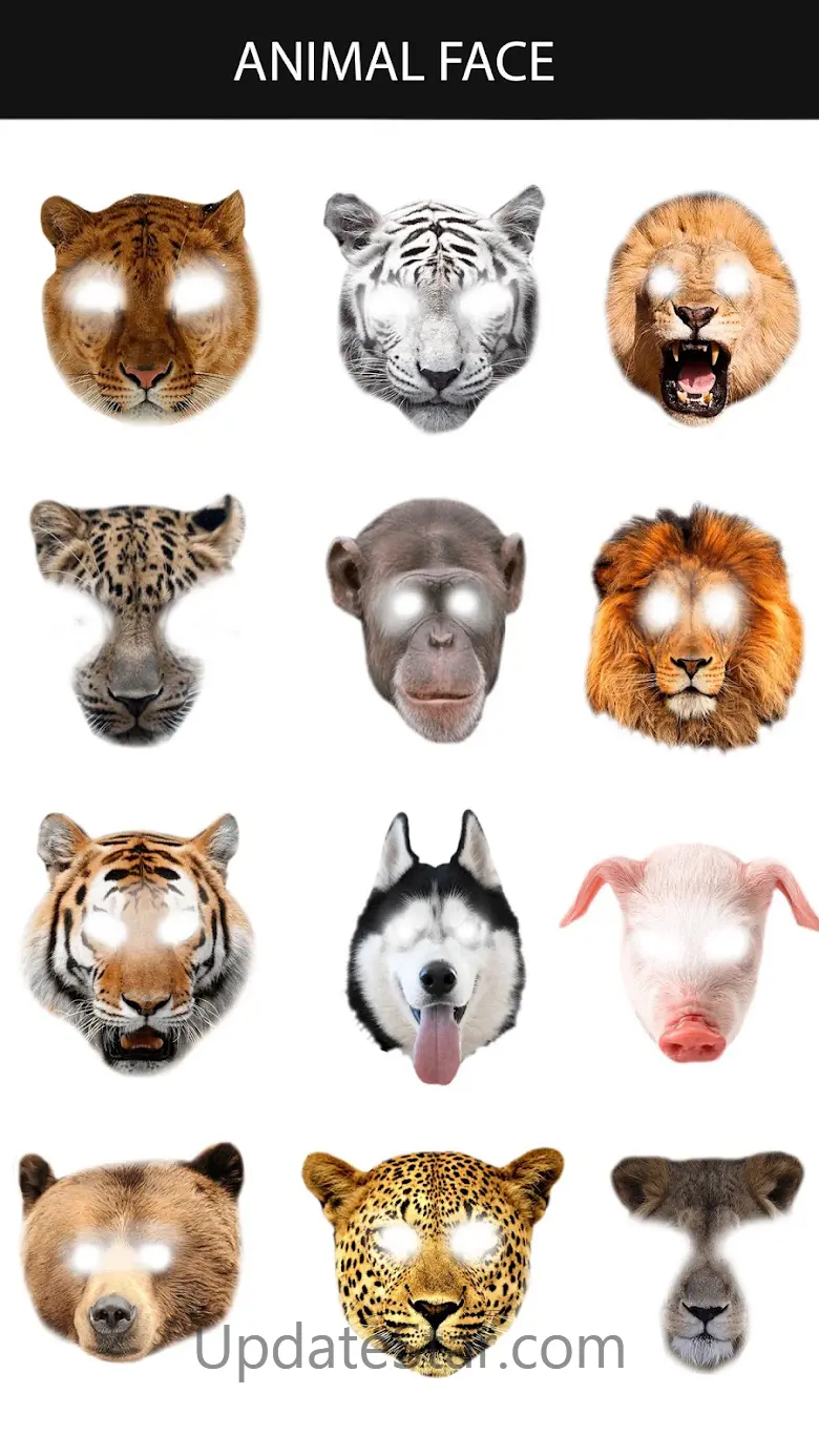 Animal Face Maker App 7.3.5