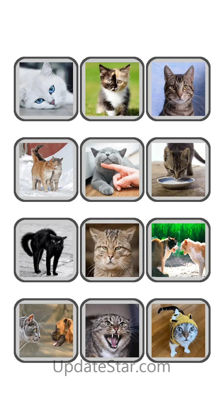 Human to Cat Translator - Meow 1.19