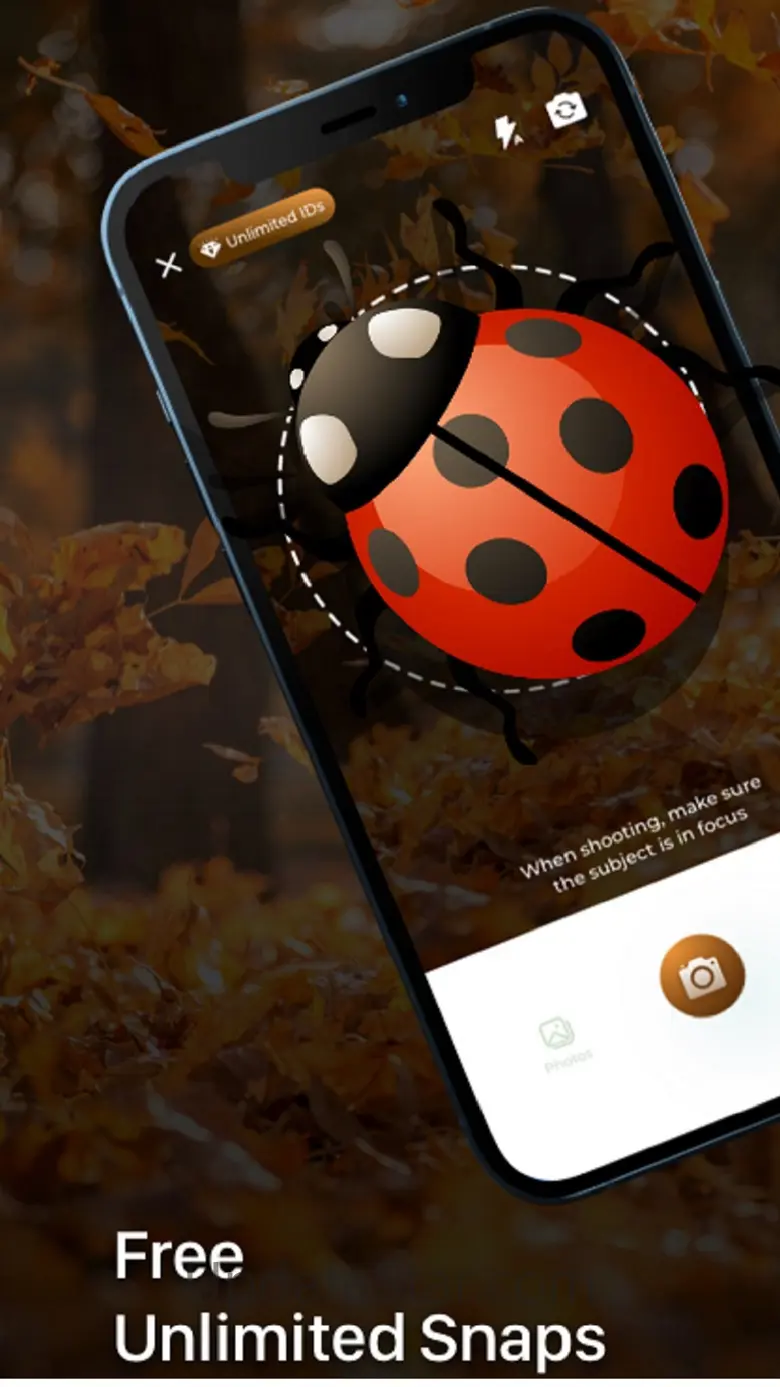 Insect ID - Bug Identifier 1.7.0
