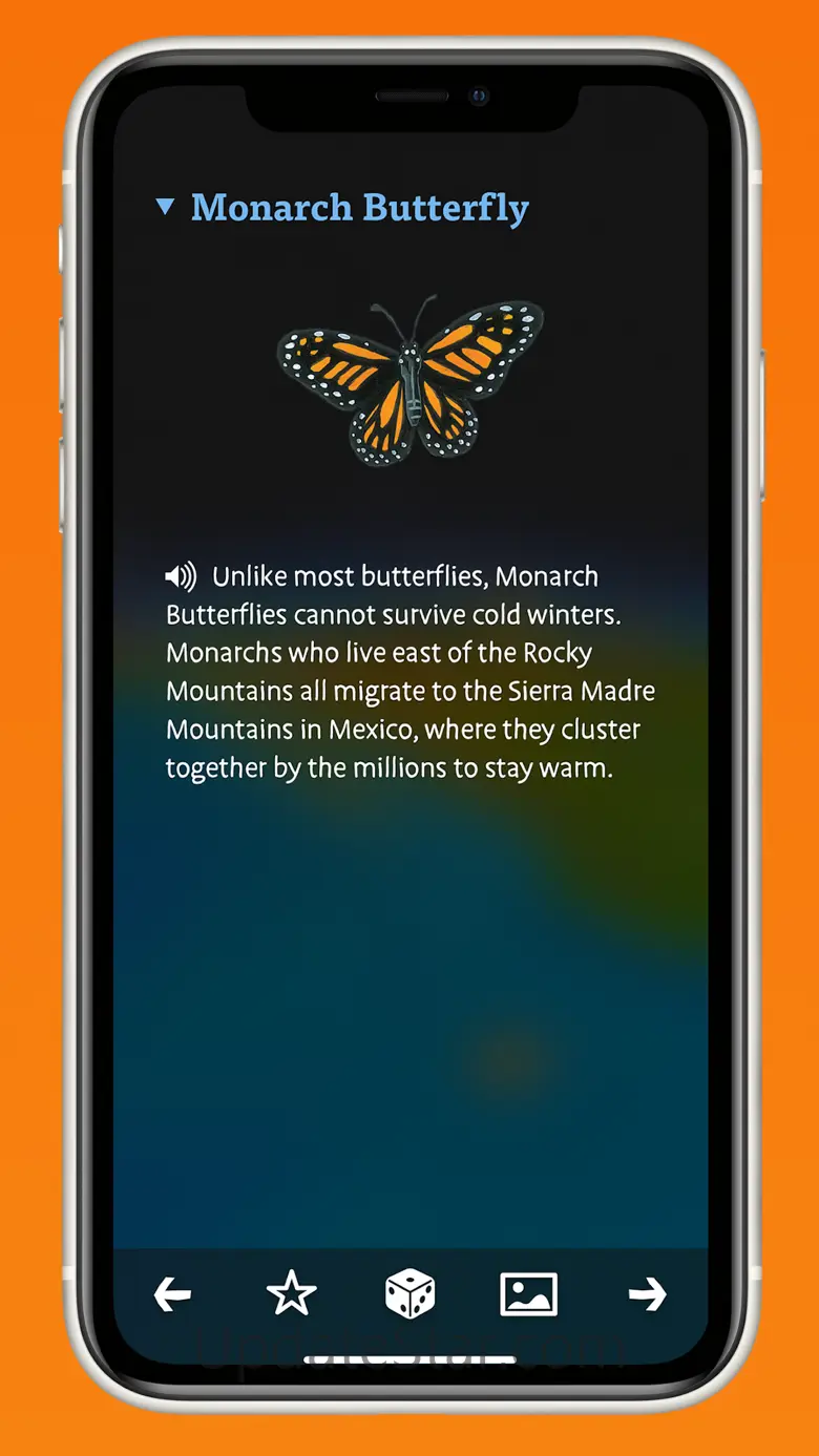 Barefoot World Atlas 4.0.5