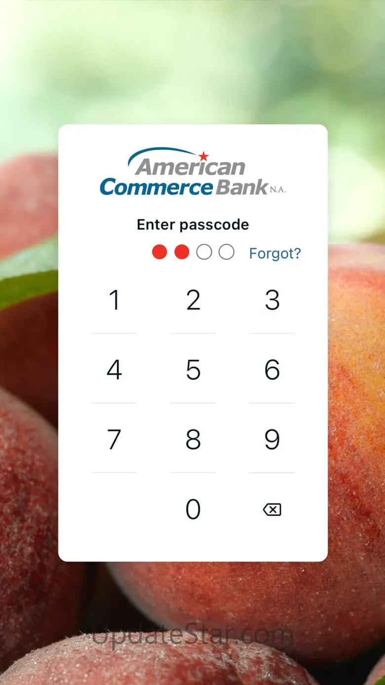 American Commerce 3.13.0